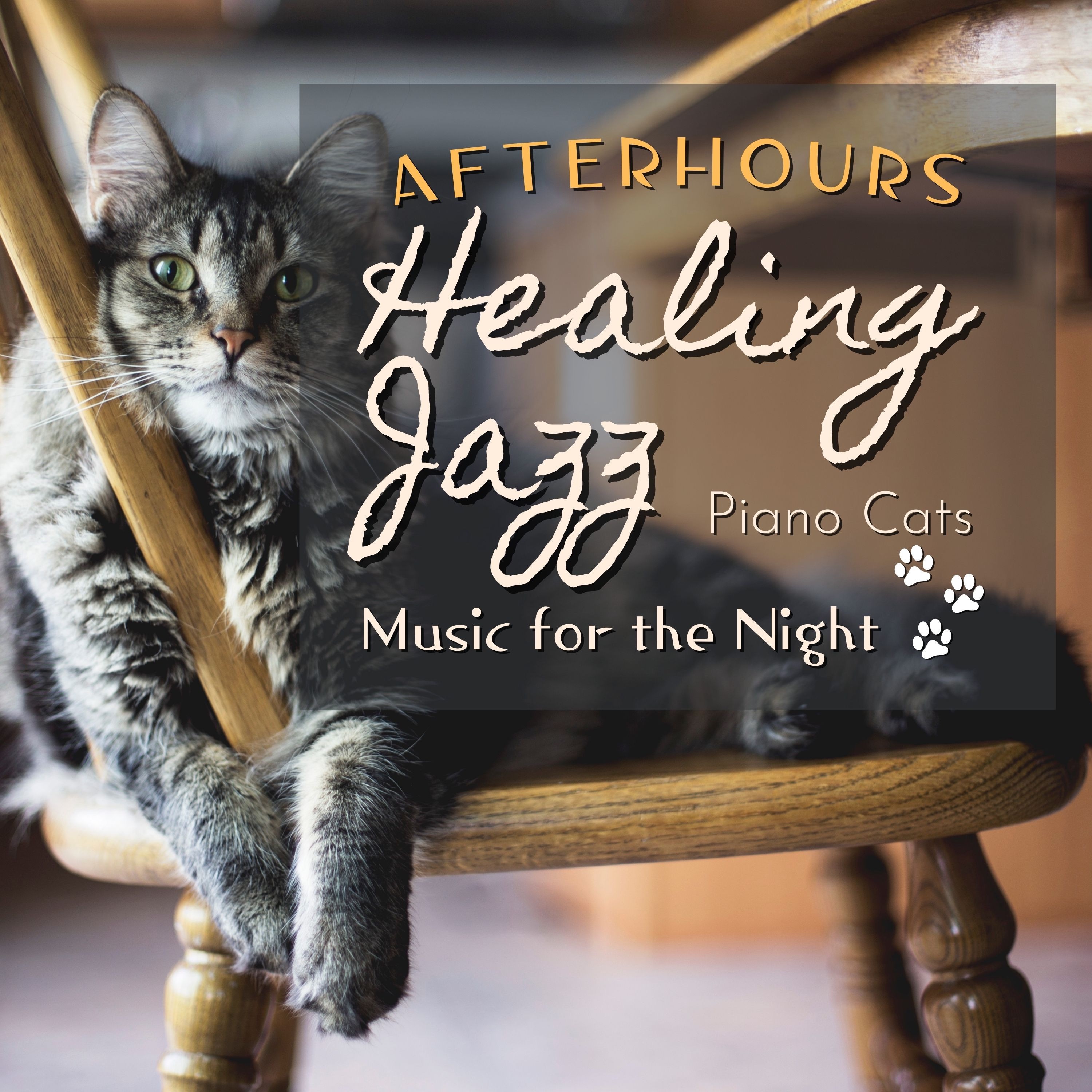 Healing Jazz:Afterhours - Music for the Night album cover