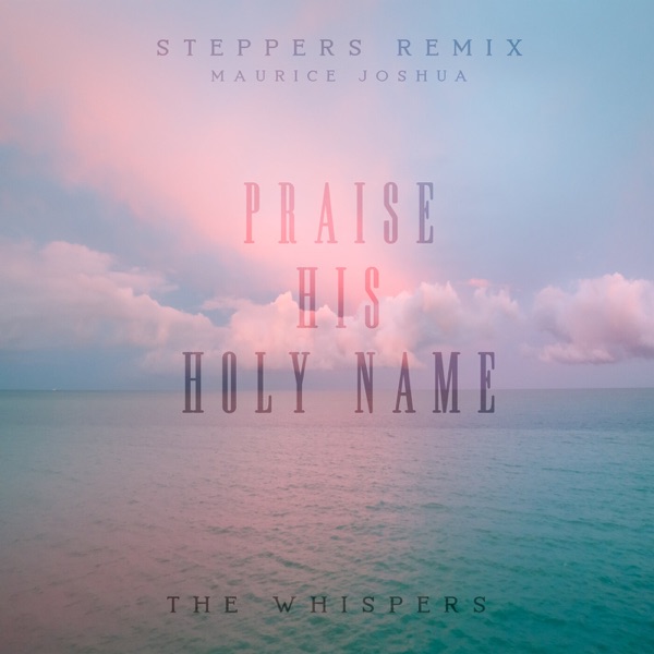 Praise His Holy Name (Steppers Remix) - Single album cover