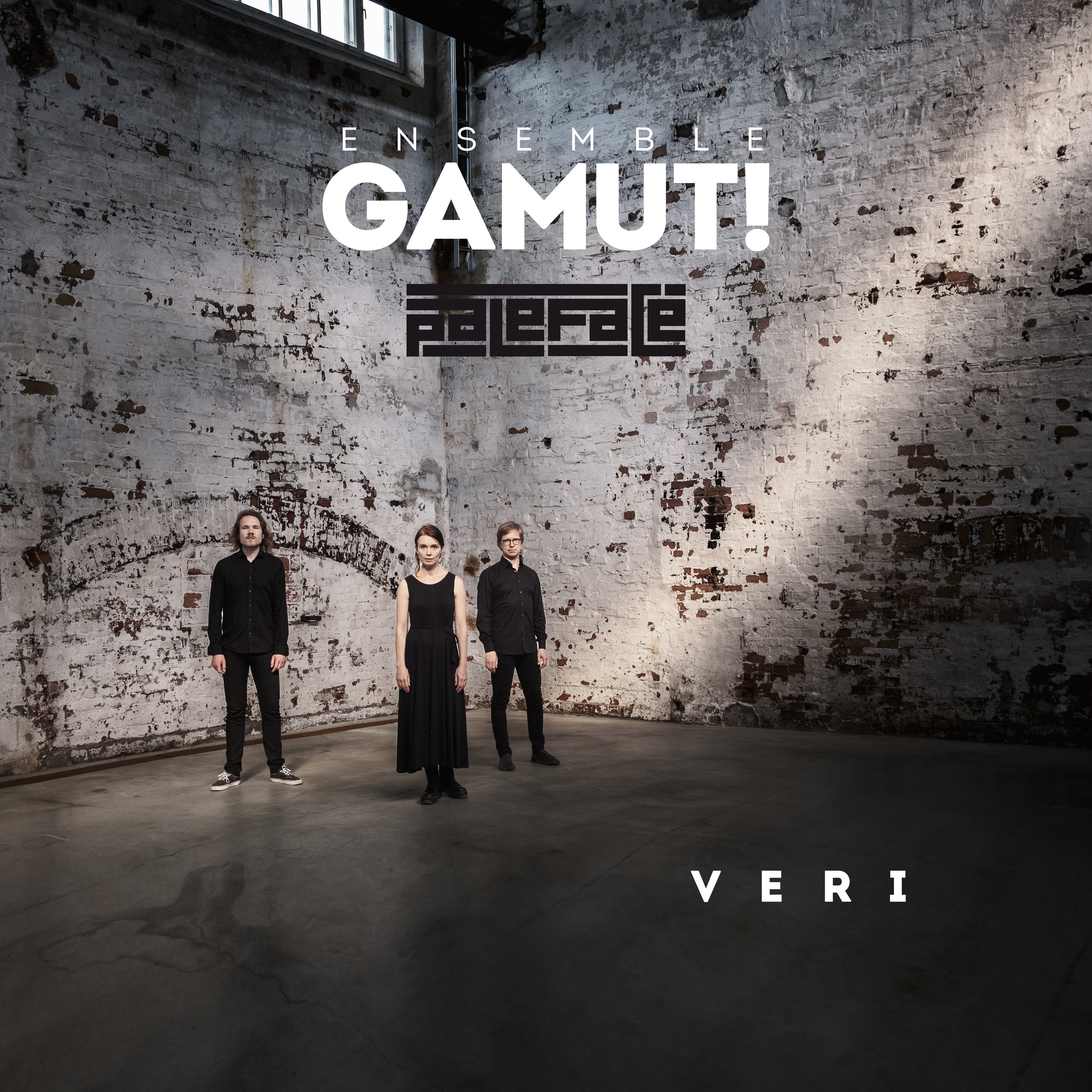 Veri (feat. Paleface) - Single album cover