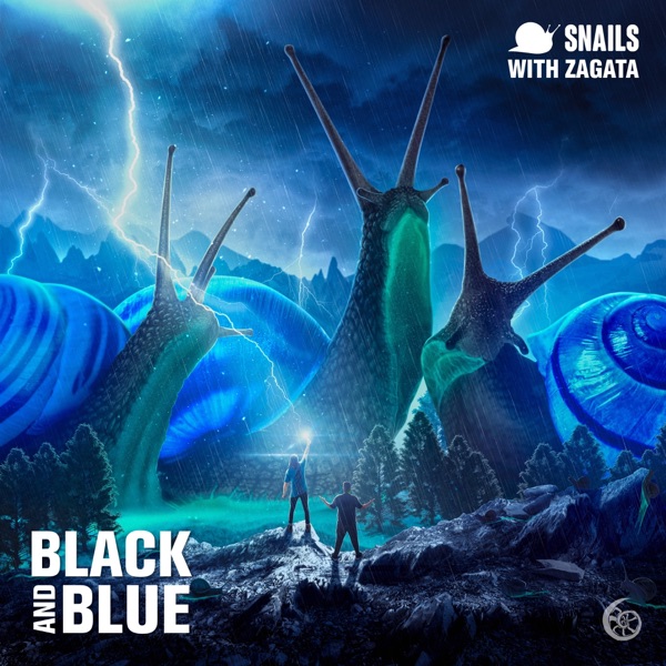 Black and Blue album cover