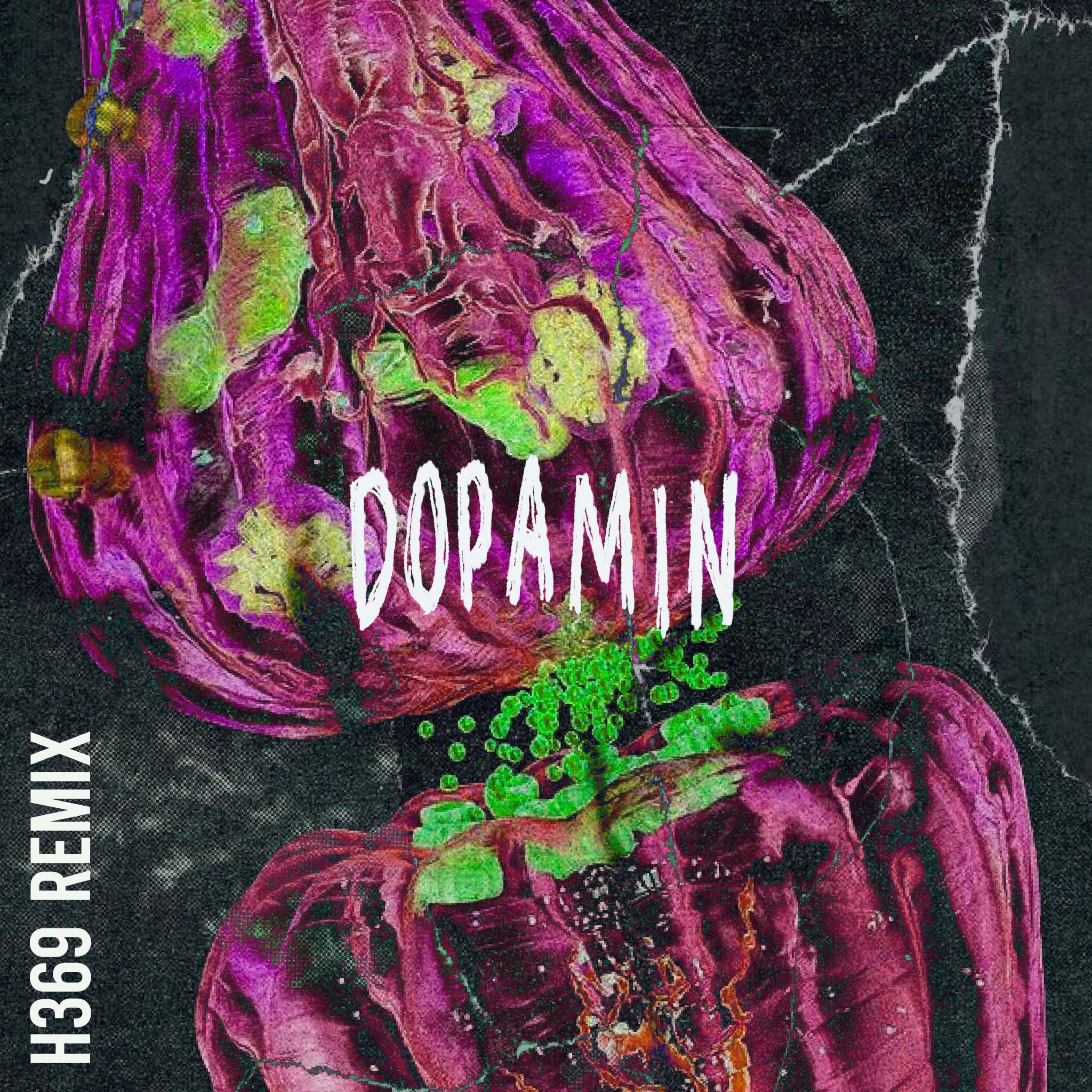 Dopamin (H369 Remix) [H369 Remix] - Single album cover