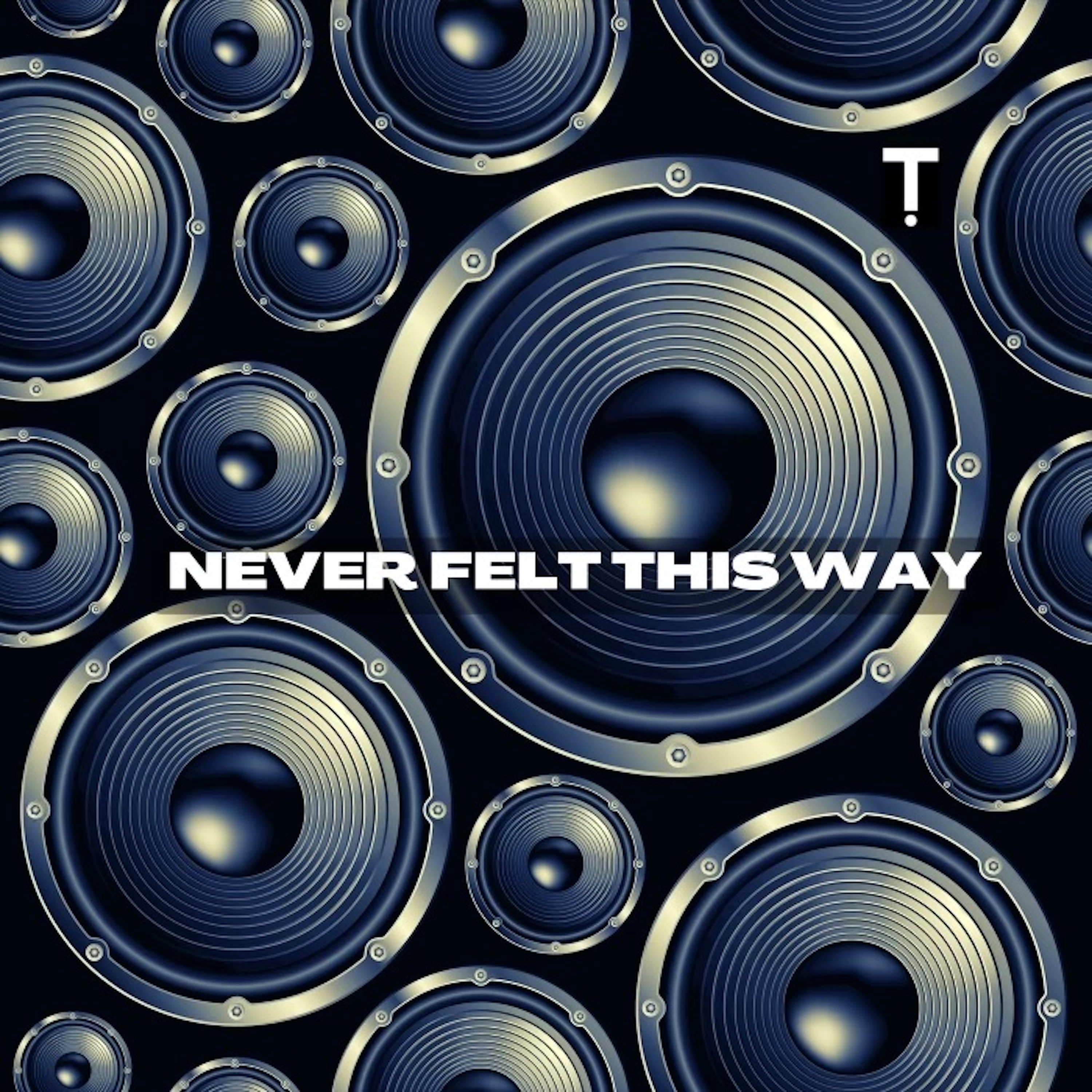 Never Felt This Way - Single album cover