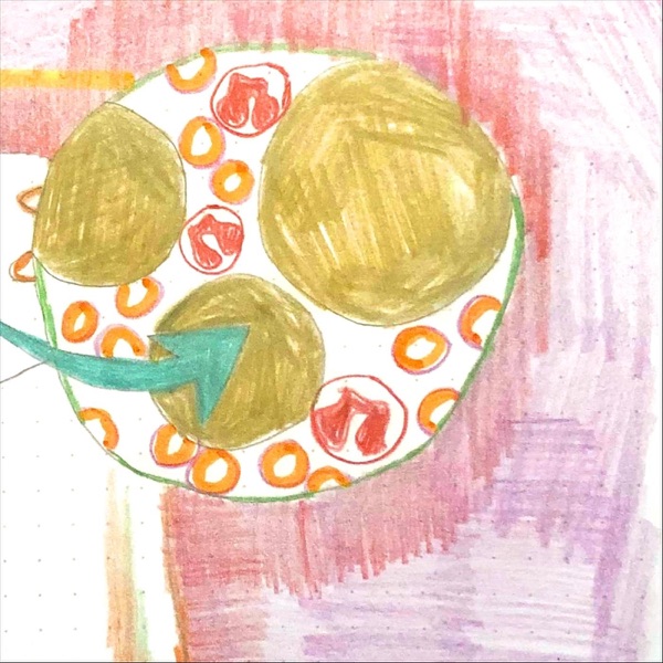 Bone Marrow Stem Cell - Single album cover