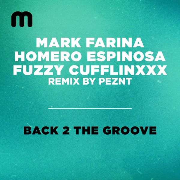 Back 2 the Groove (PEZNT Remix) - Single album cover