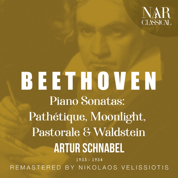 Beethoven, Piano Sonatas: Pathétique, Moonlight, Pastorale & Waldstein album cover