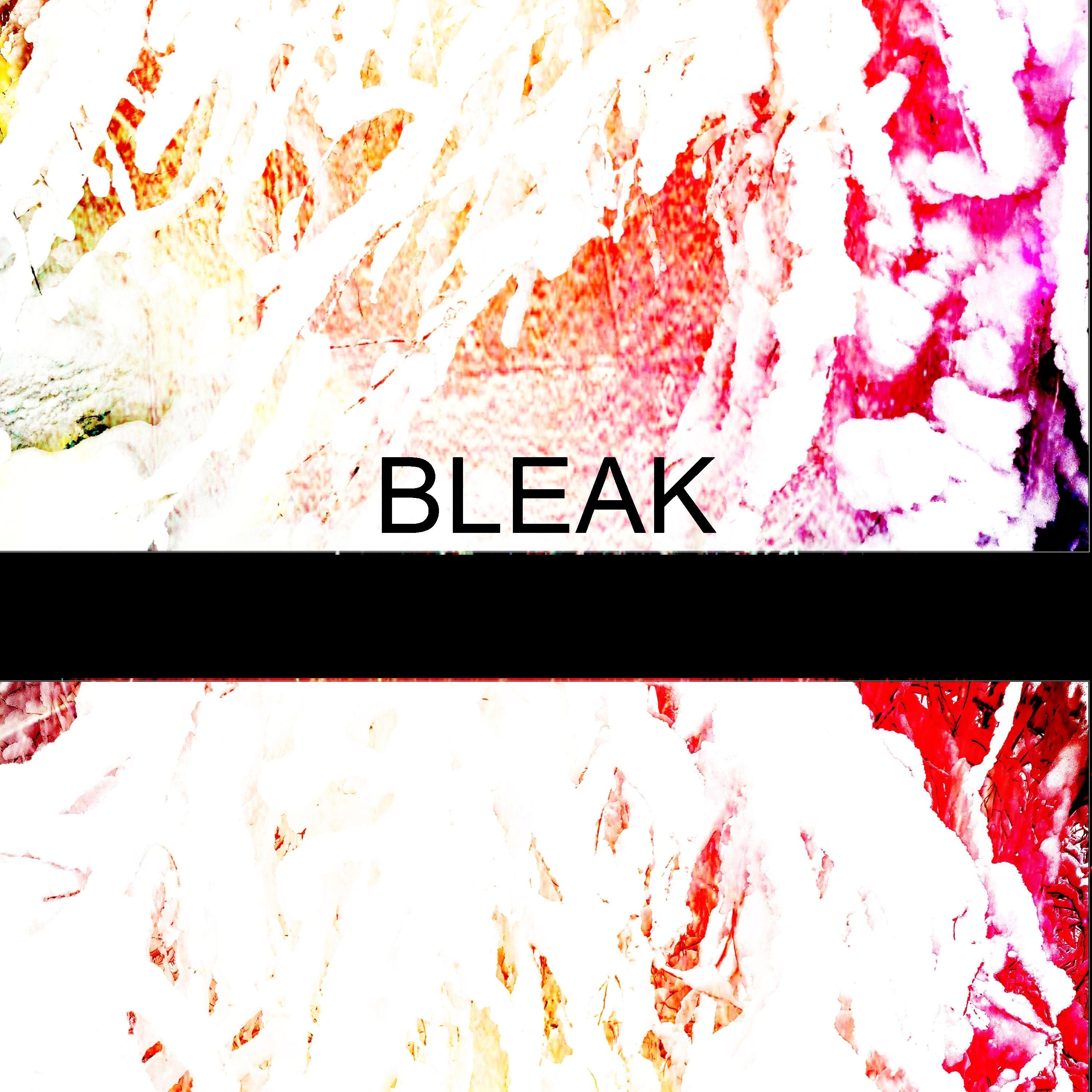 Bleak - Single album cover