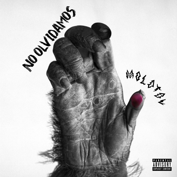 No Olvidamos - Single album cover