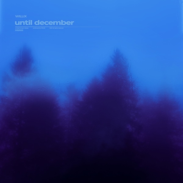 Until December - Single album cover