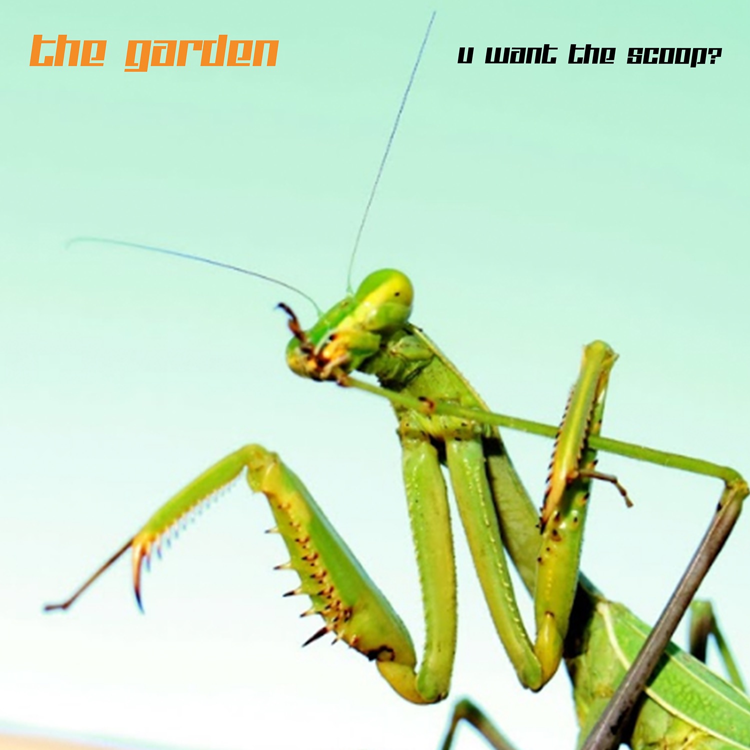 U Want the Scoop? - EP album cover