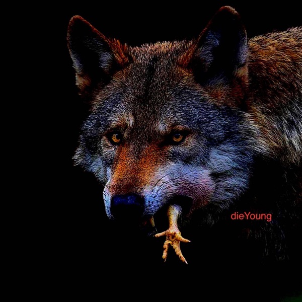 Die Young - Single album cover