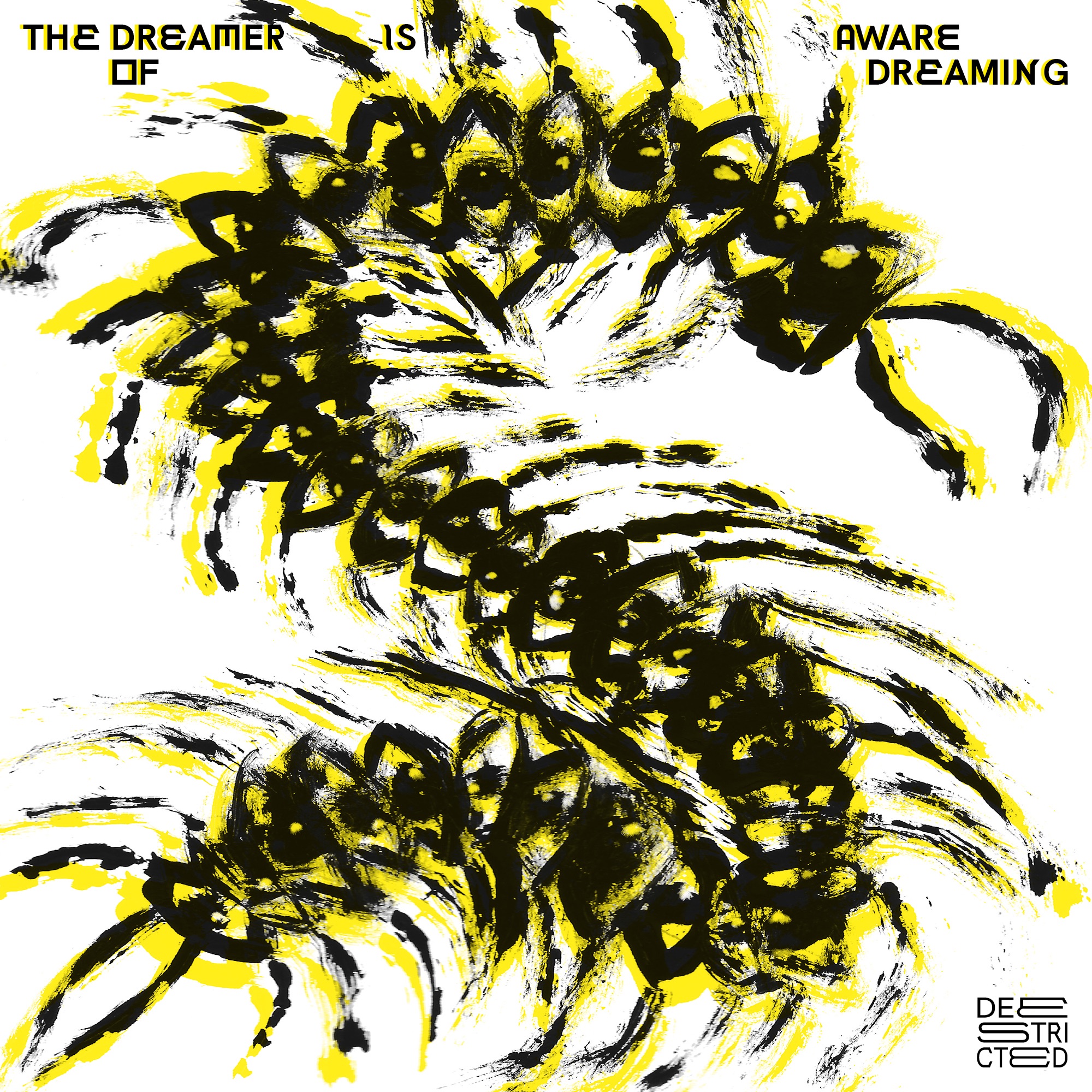 The Dreamer Is Aware of Dreaming album cover