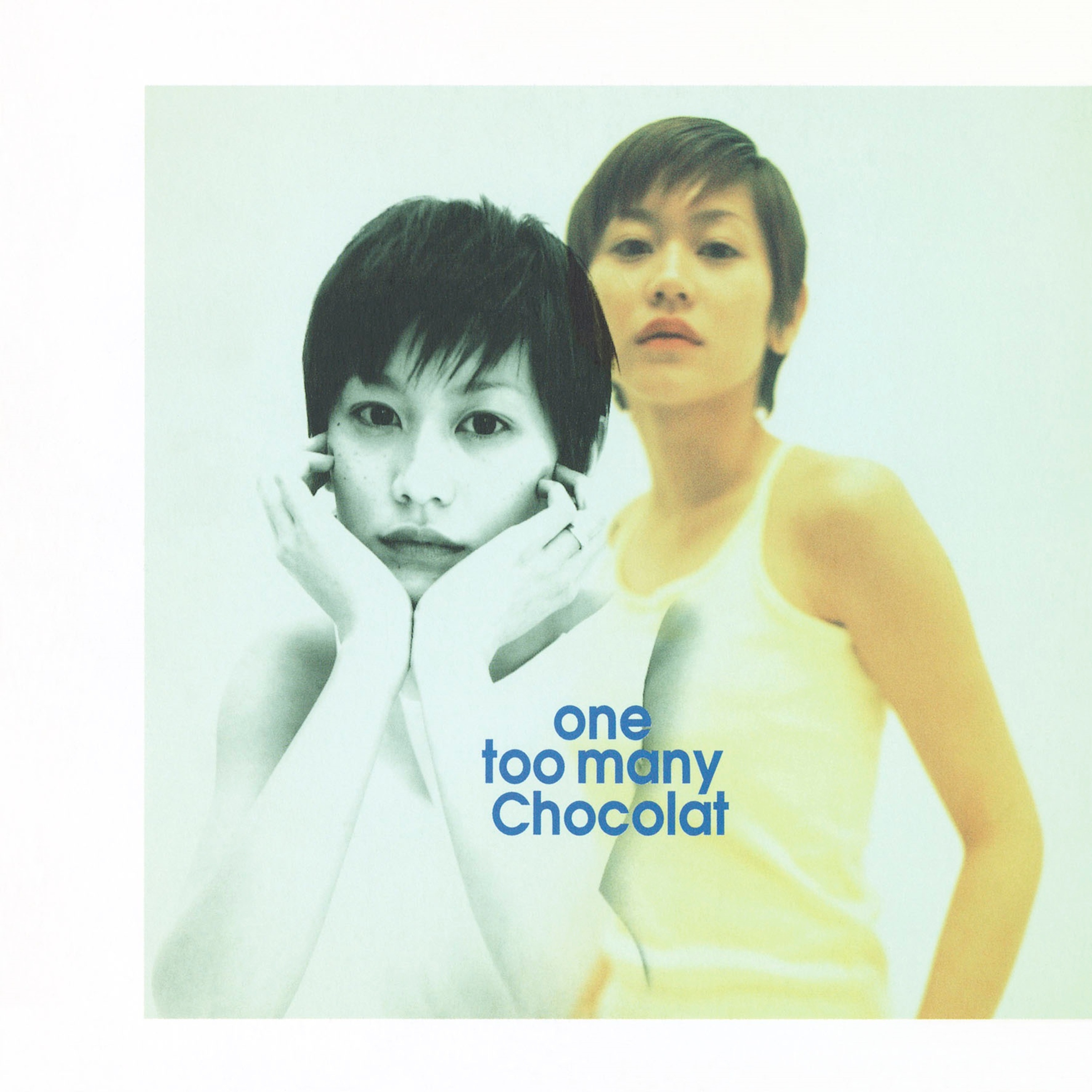 one too many chocolat album cover