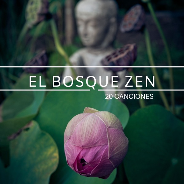 El Bosque Zen 20 Canciones - Música Japonesa y Tibetana para Meditar y Descansar la Mente album cover