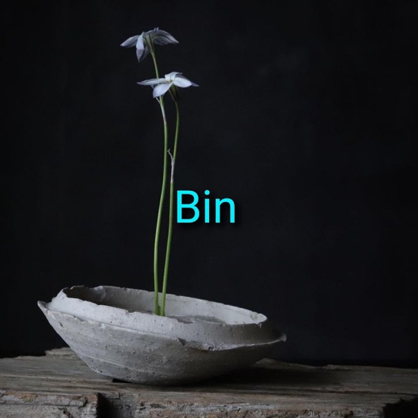 Bin album cover