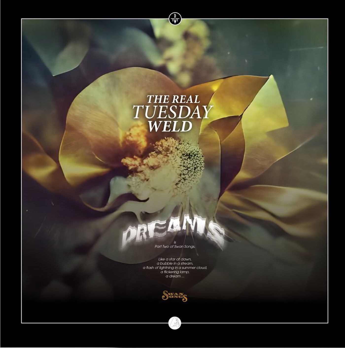 Dreams album cover