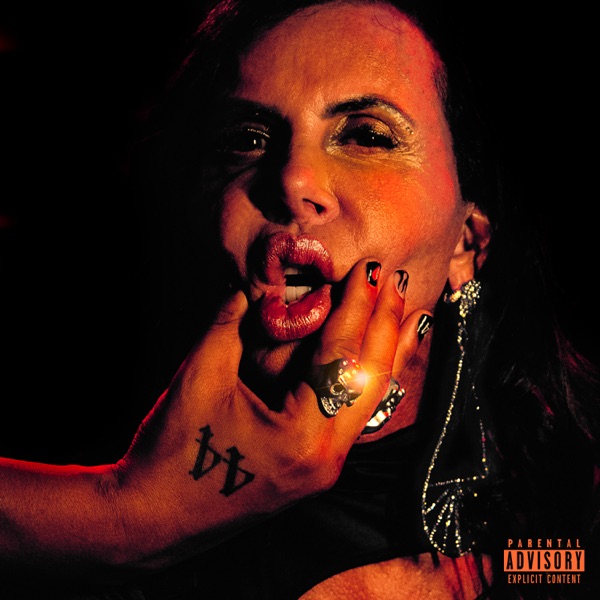 Dublê de Marido - Single album cover