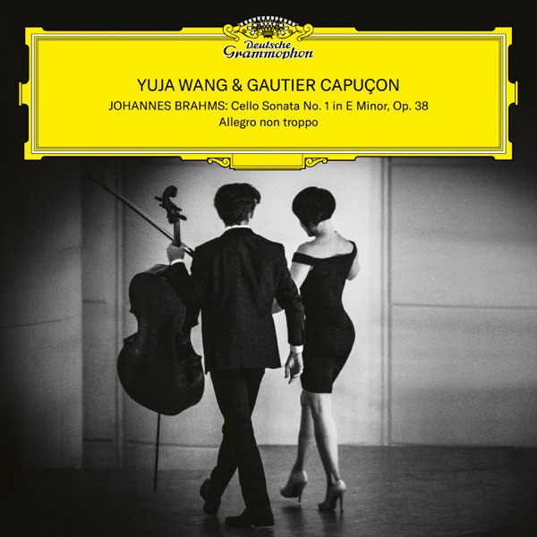 Brahms: Cello Sonata No. 1 in E Minor, Op. 38: I. Allegro non troppo - EP album cover