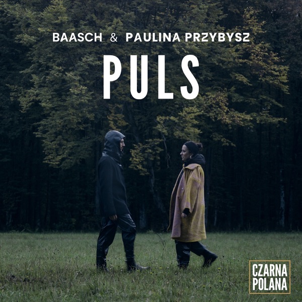 Puls - Single album cover