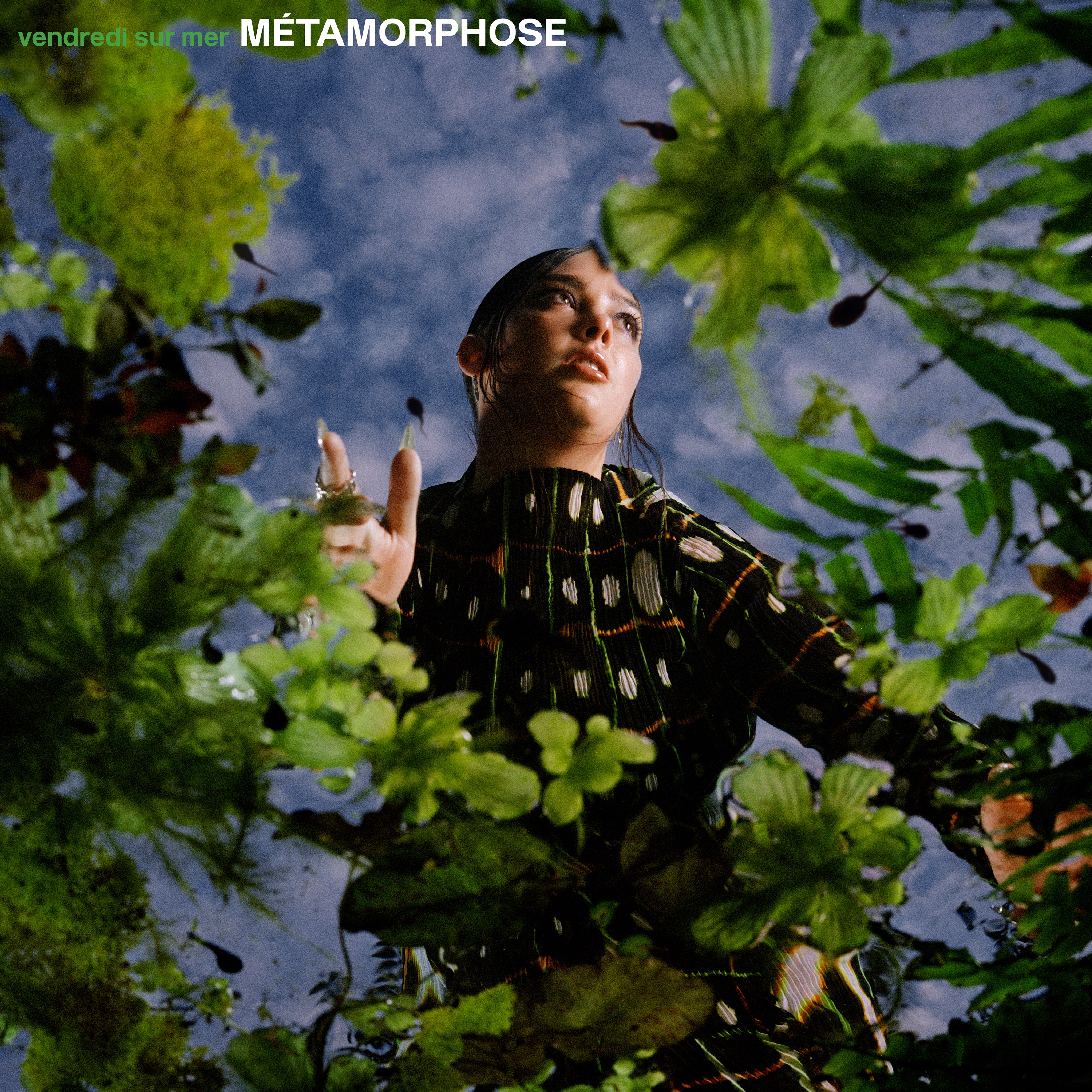Métamorphose album cover