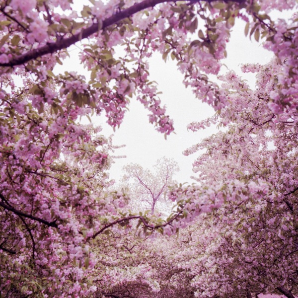 Everything I Wanted (feat. Madeline Follin) - Single album cover