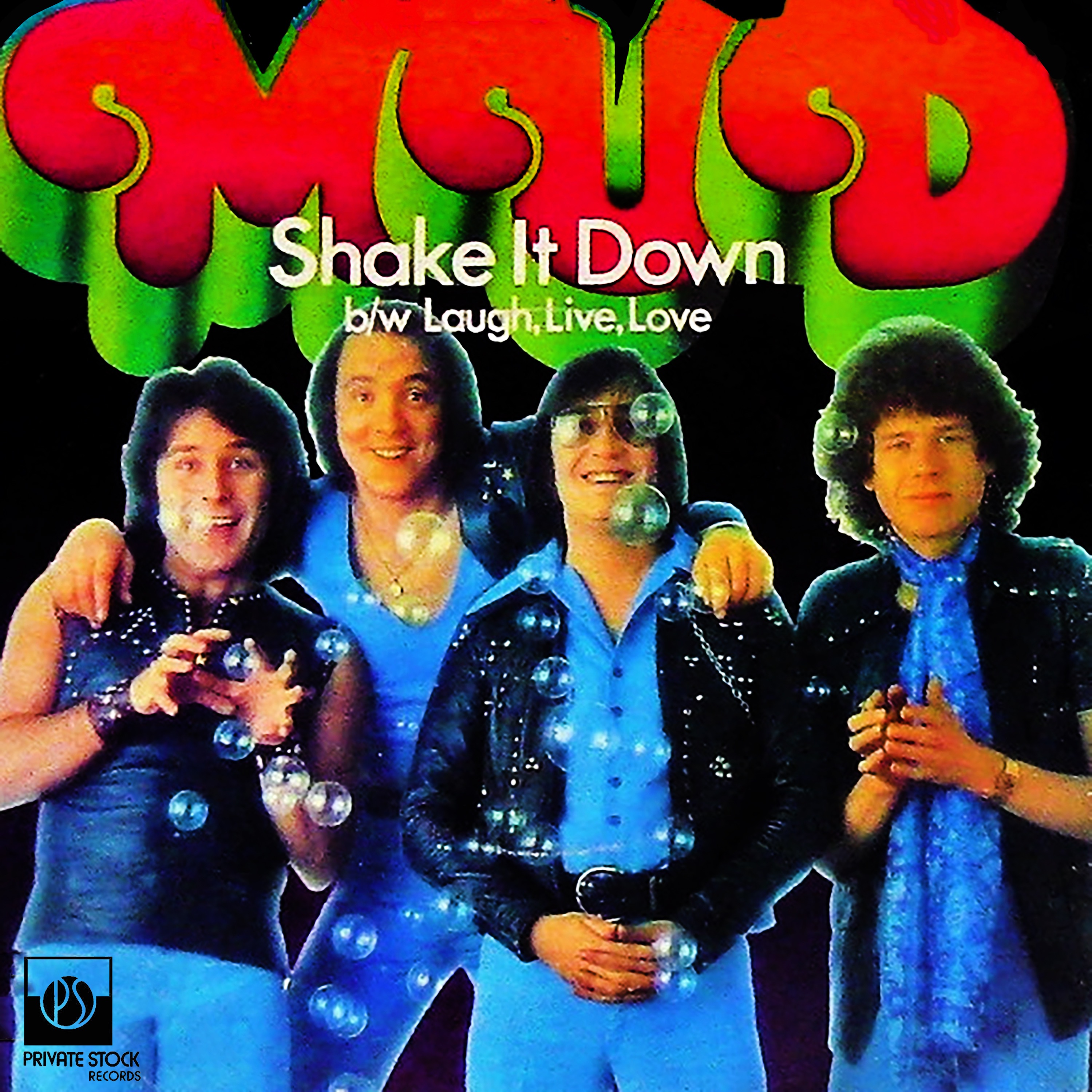 Shake It Down - Single album cover