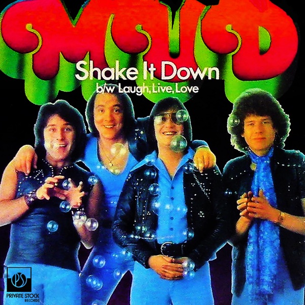 Shake It Down - Single album cover