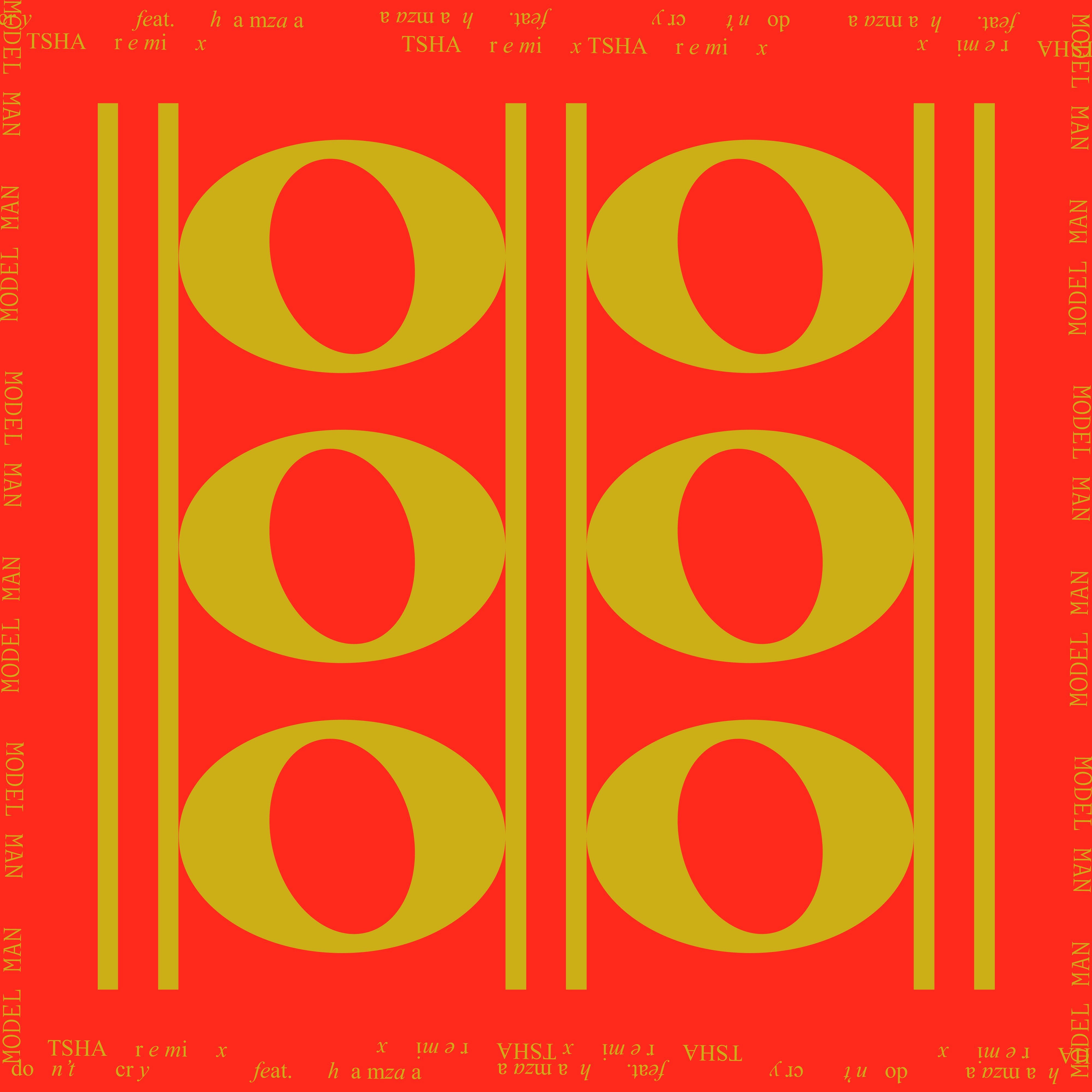 Don't Cry (feat. Hamzaa) [Tsha Remix] - Single album cover