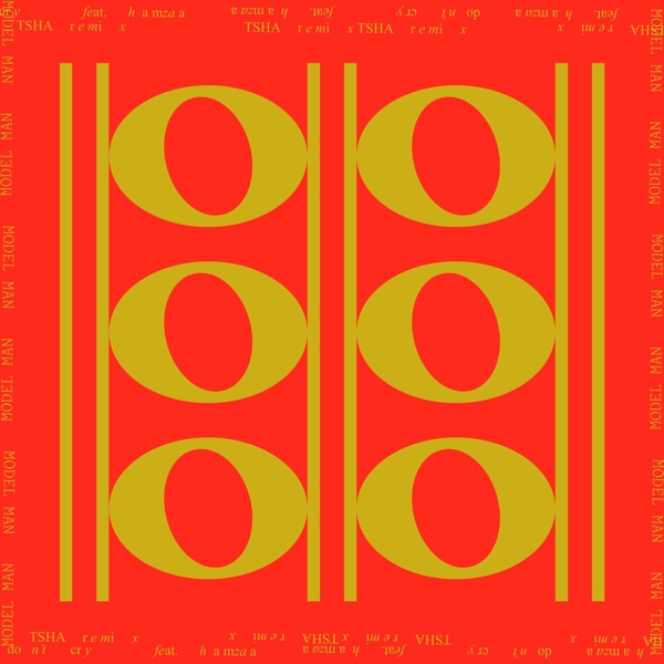 Don't Cry (feat. Hamzaa) [Tsha Remix] - Single album cover