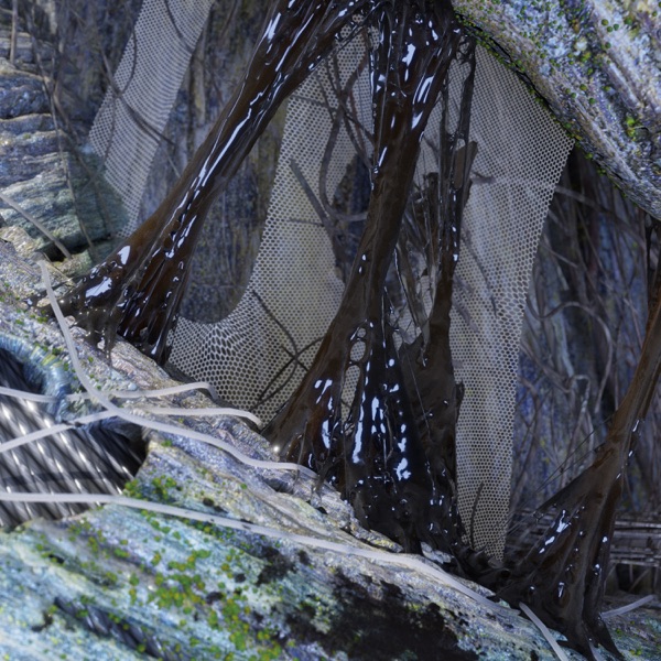 Petroleum / Hidden Land - Single album cover