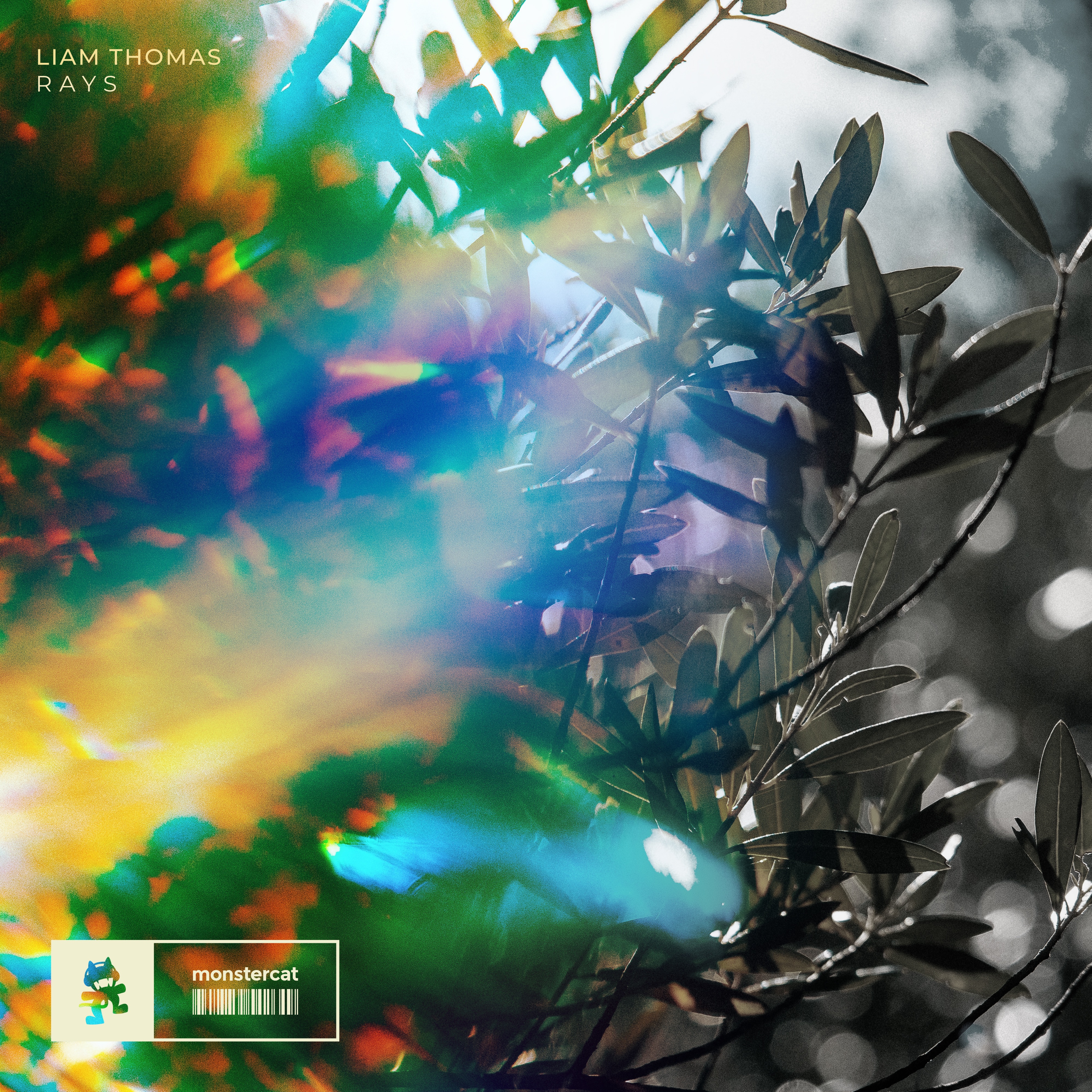 Rays - Single album cover