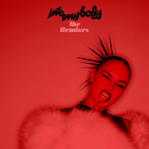 Into My Body (The Remixes) - Single album cover