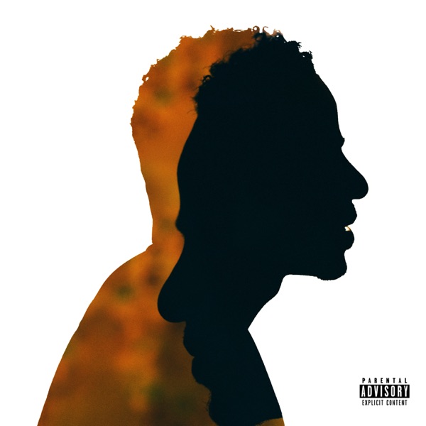 New Light: The Remixes - EP album cover