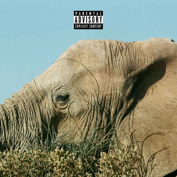 Needle In the Ocean - Single album cover