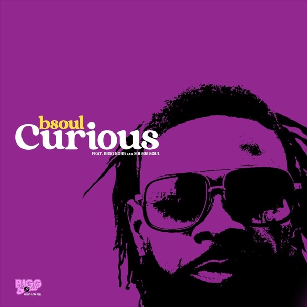Curious (feat. Bigg Robb & Mr808soul) - Single album cover