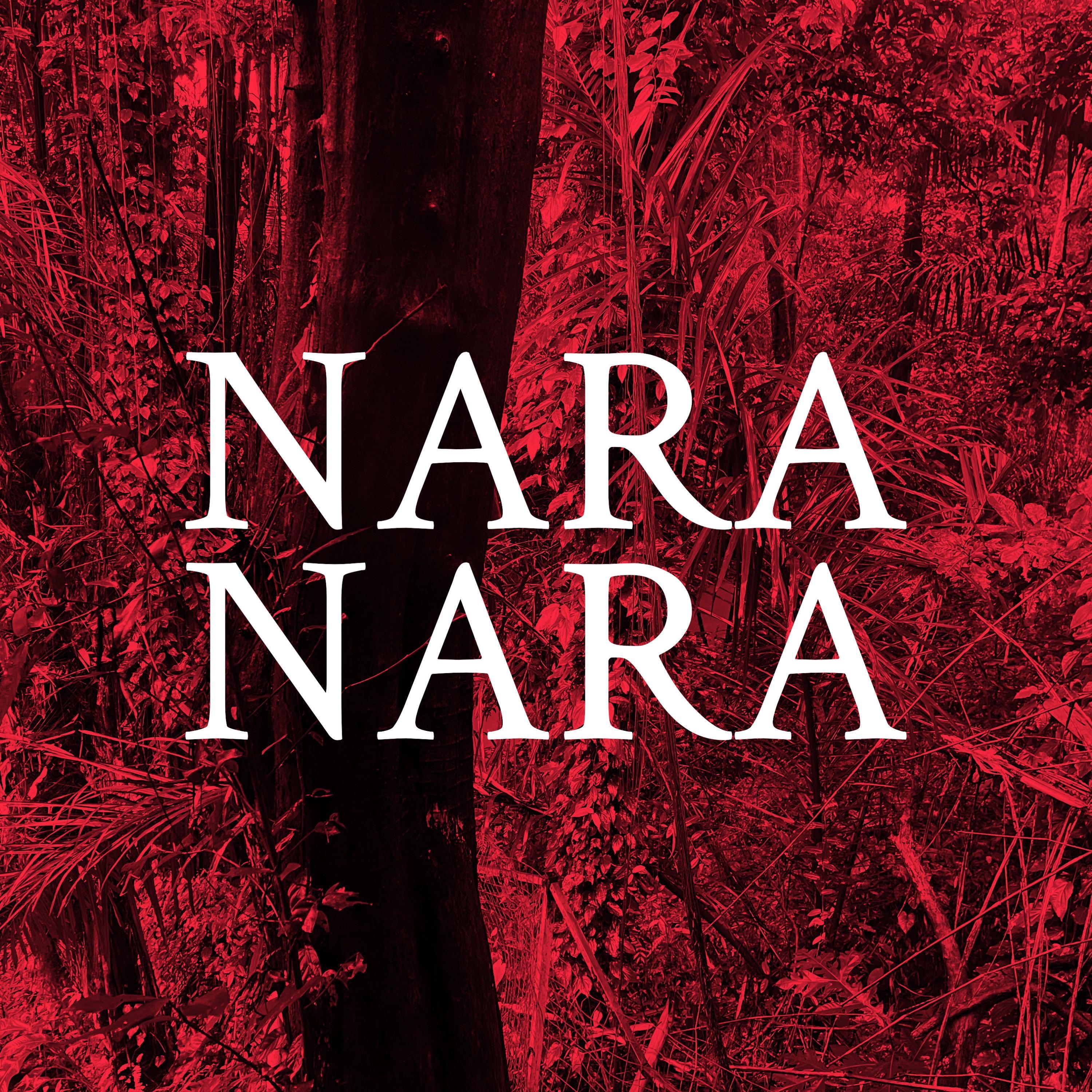 Nara - Single album cover
