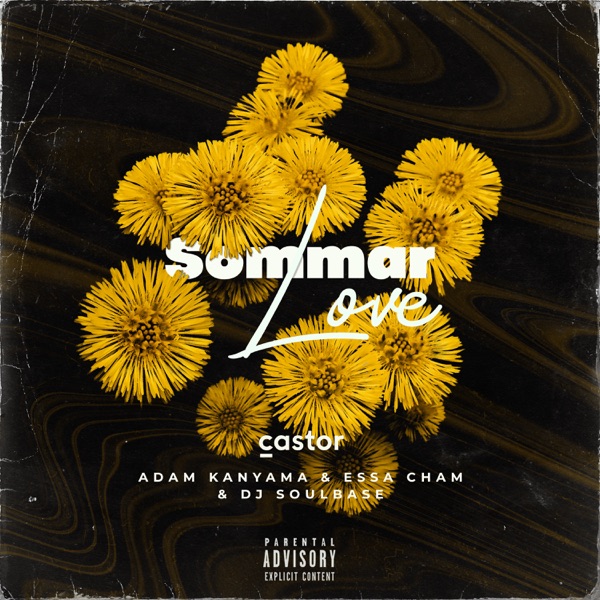 Sommar Love (feat. DJ Soulbase) - Single album cover