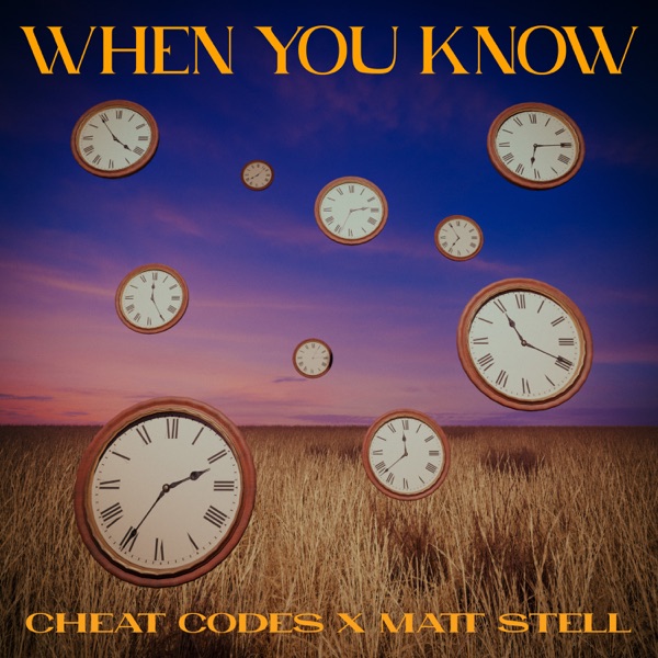 When You Know - Single album cover