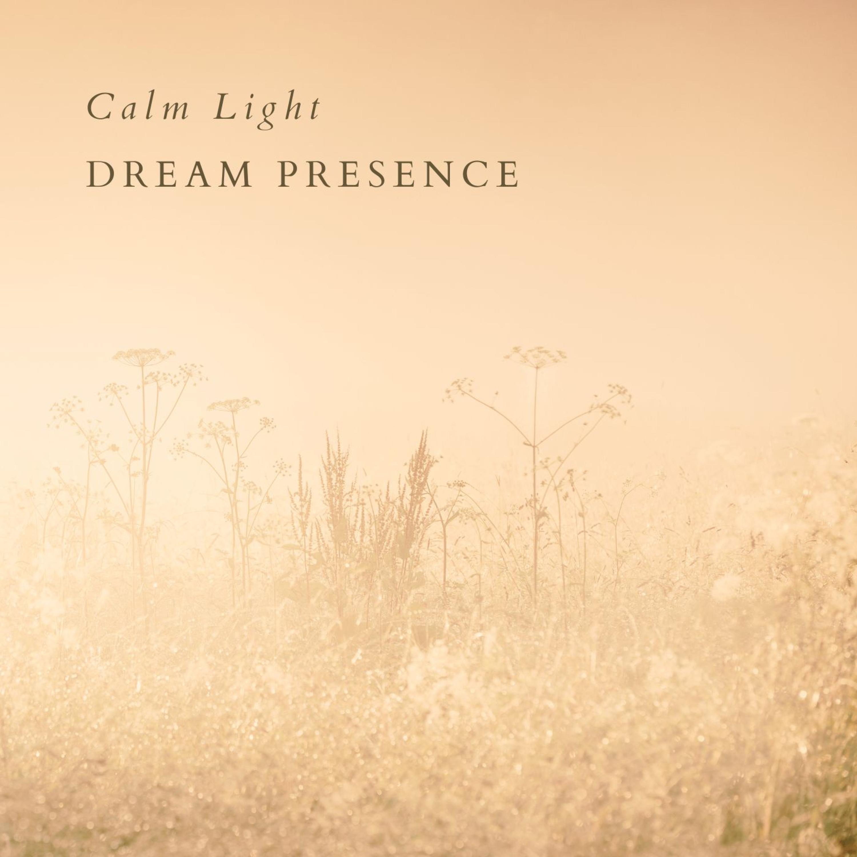 Calm Light - Single album cover