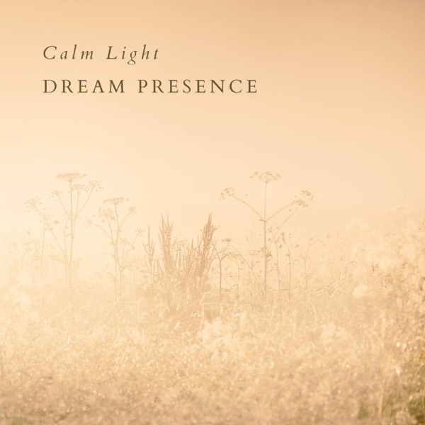 Calm Light - Single album cover