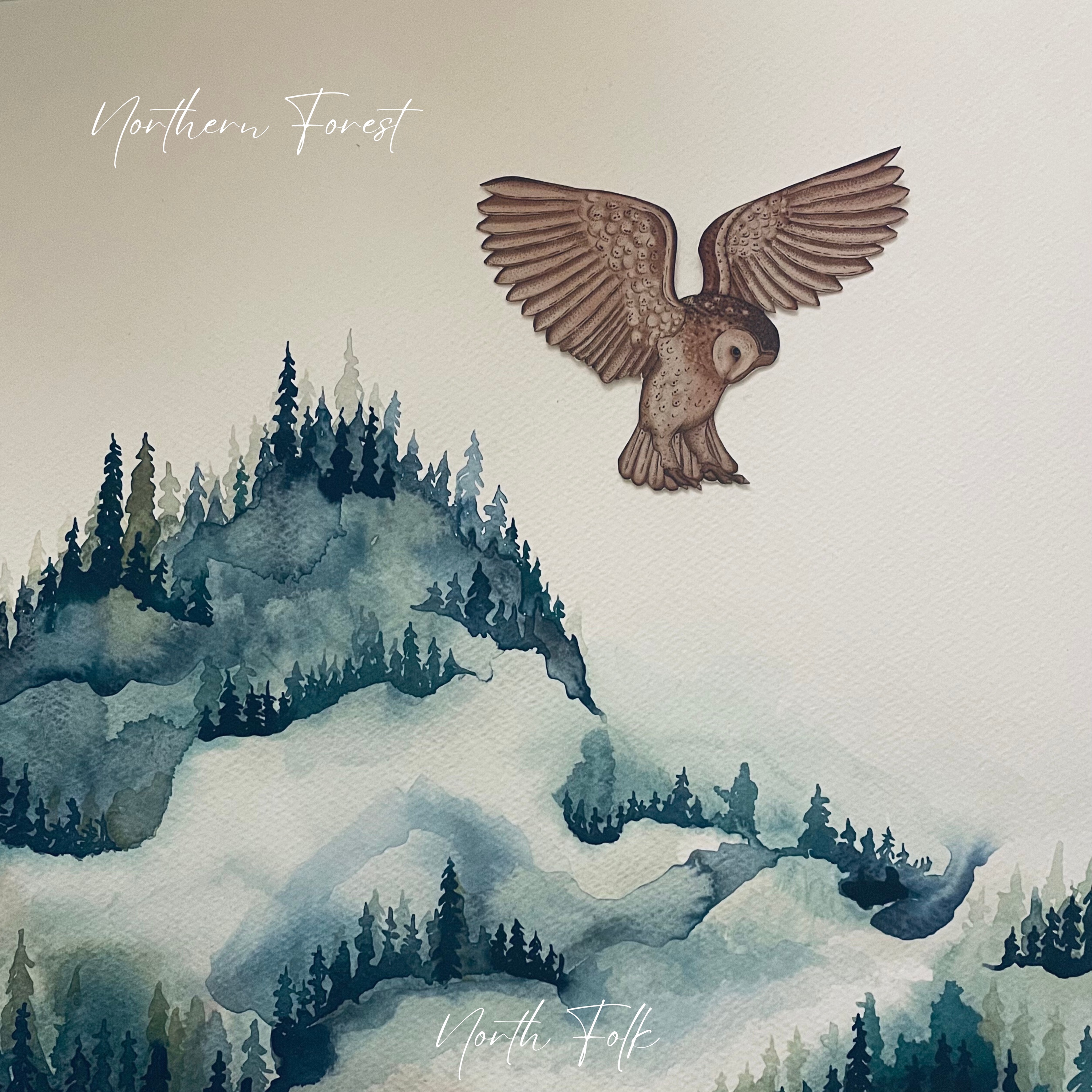 Northern Forest - Single album cover