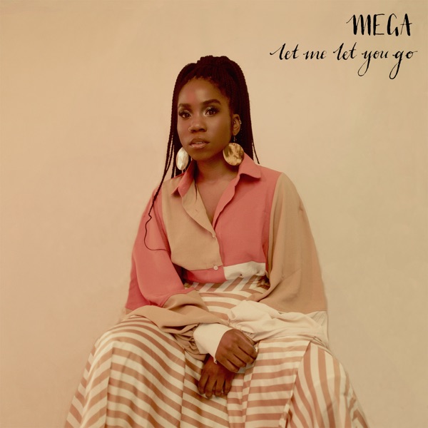 Let Me Let You Go - Single album cover