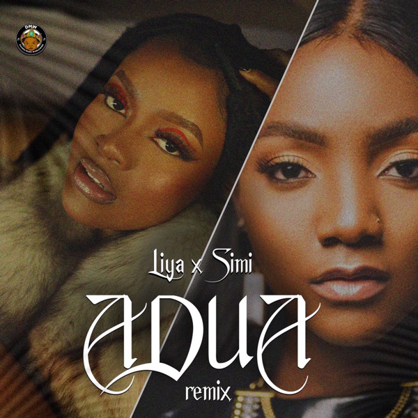 Adua (Remix) - Single album cover