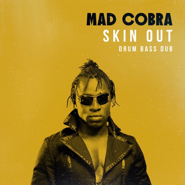 Skin Out (Drum Bass Dub) - Single album cover