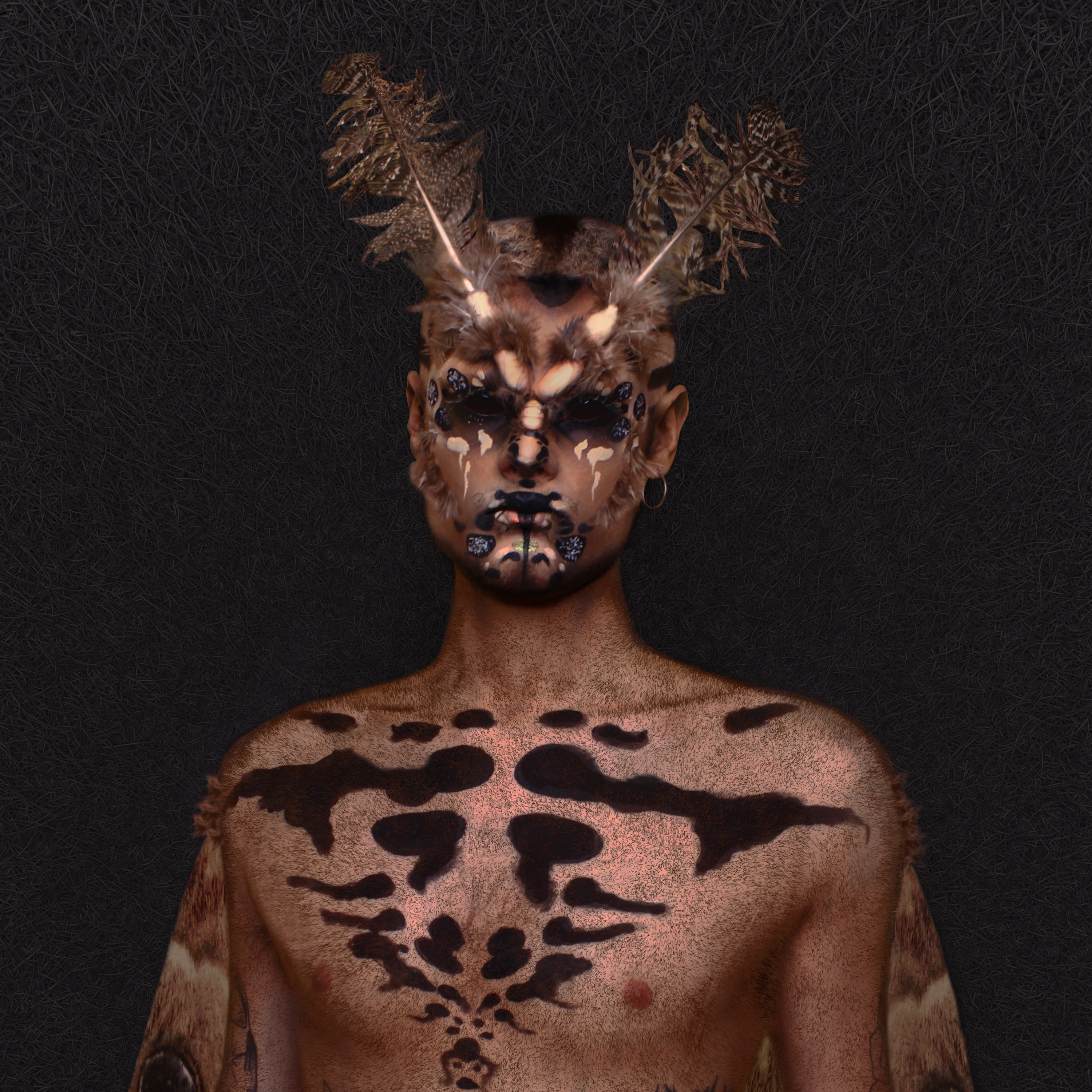Polvo - Single album cover