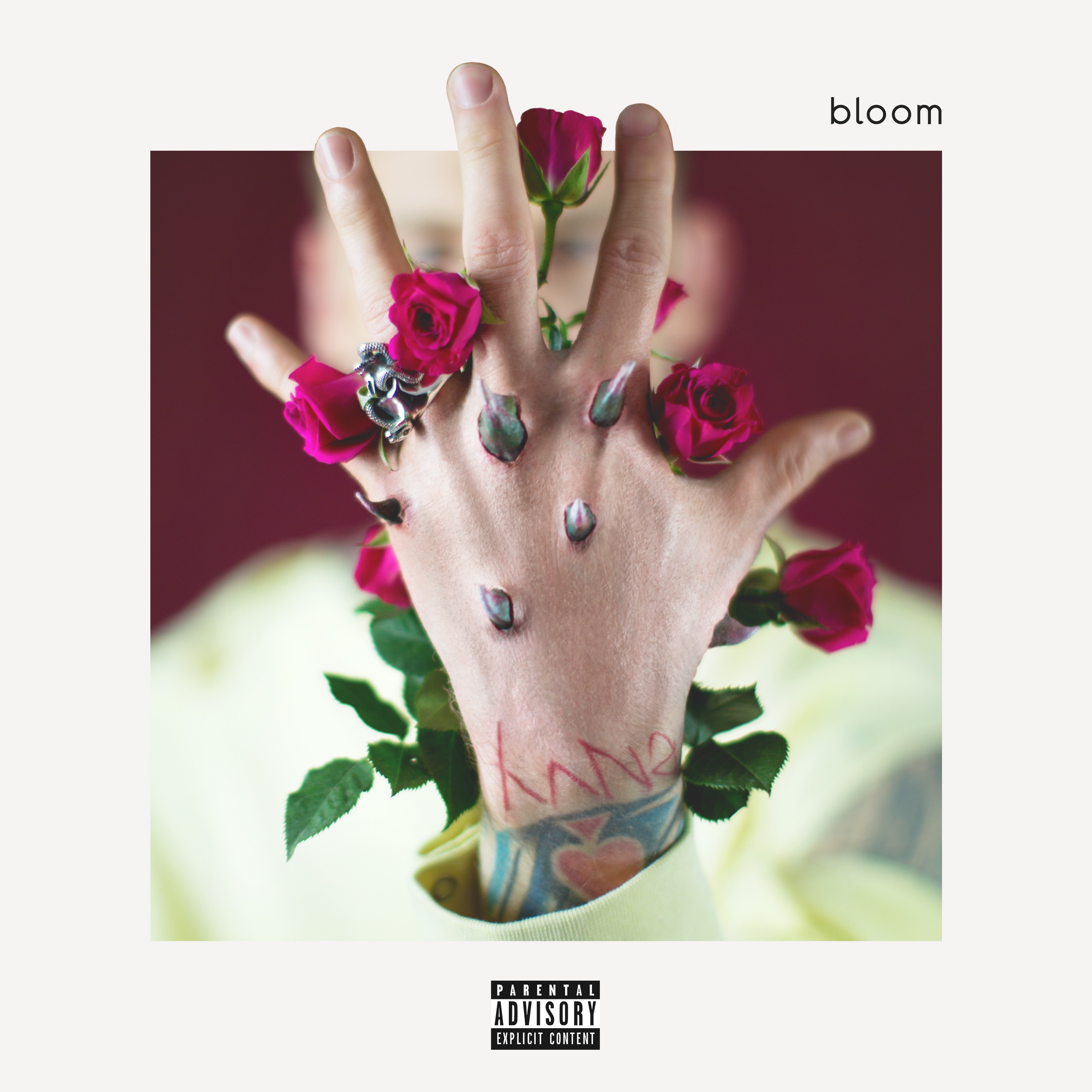 bloom album cover