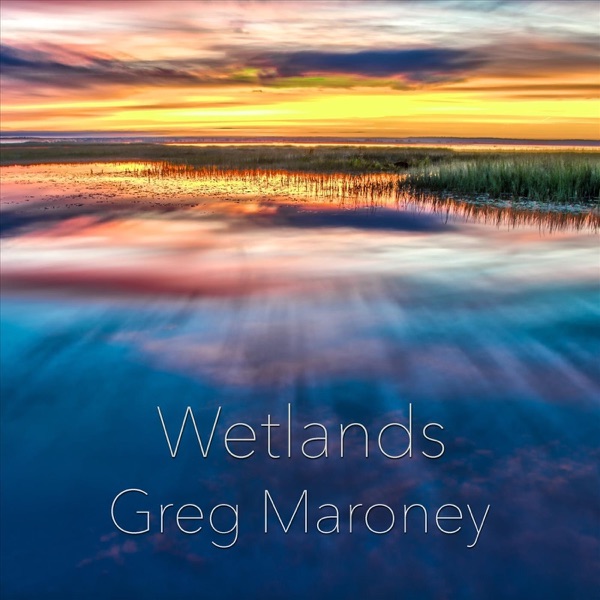 Wetlands - Single album cover