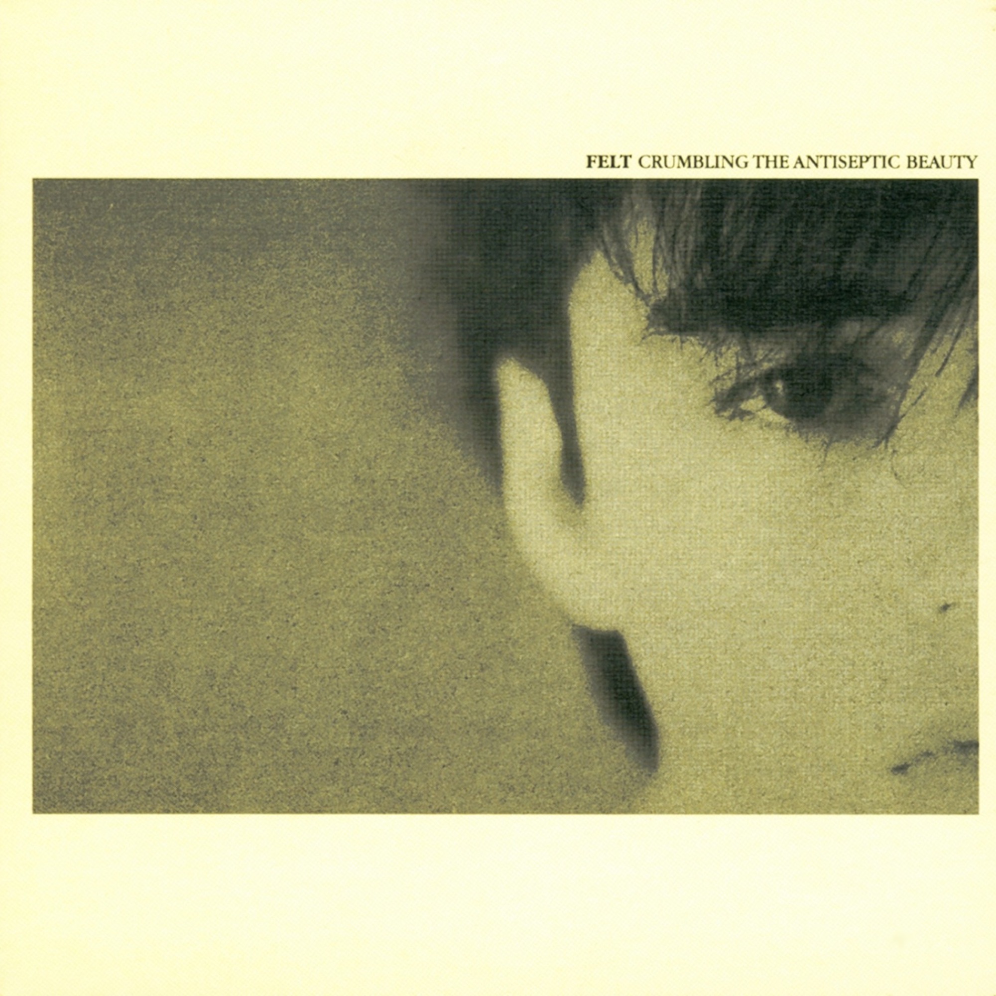 Crumbling the Antiseptic Beauty / The Splendour of Fear (Remastered Edition) album cover
