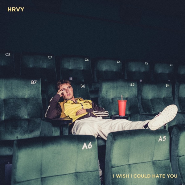 I Wish I Could Hate You - Single album cover