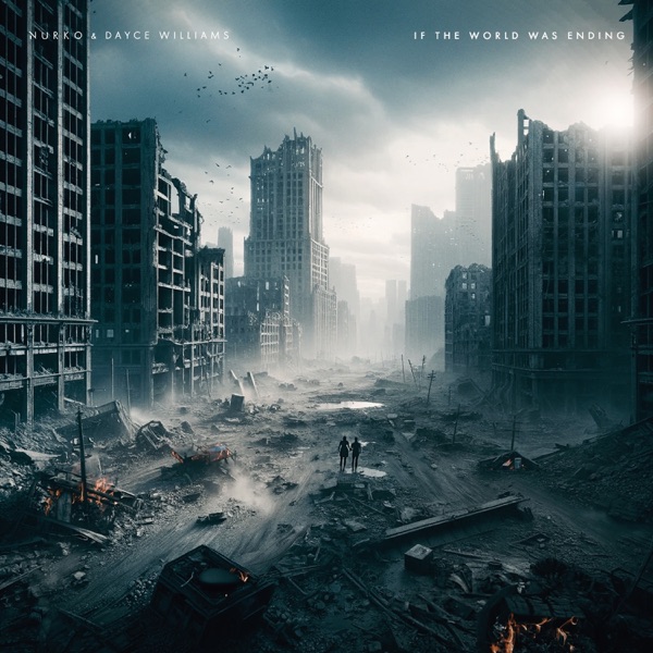 If the World Was Ending - Single album cover