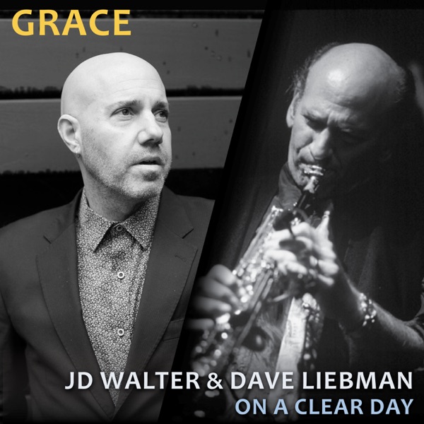 Grace (feat. Jim Ridl, Ari Hoenig & Steve Varner) - Single album cover
